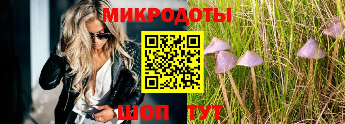 Галлюциногенные грибы Magic Shrooms Будённовск